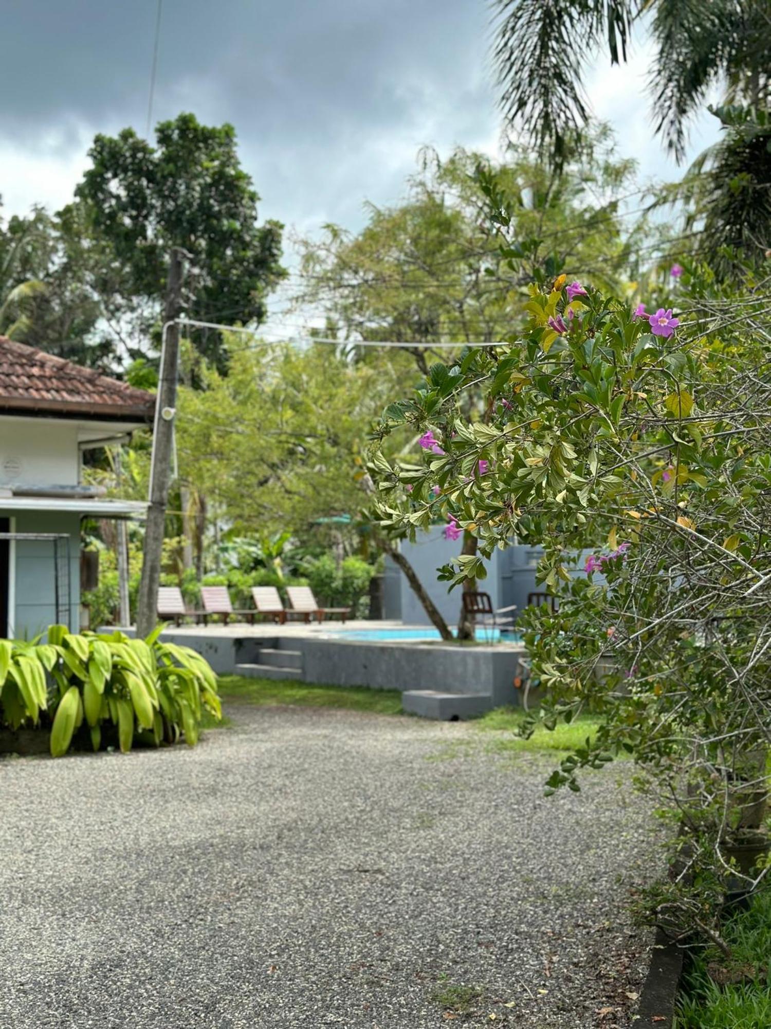 Mango Tree Villa Unawatuna Eksteriør billede